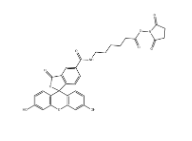 5-FAM-X, SE 5-羧基荧光素琥珀酰亚胺酯 CAS号:148356-00-7 5-FAM-X, SE 5-羧基荧光素琥珀酰亚胺酯 CAS号:148356-00-7