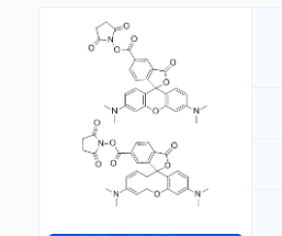 CAS号：246256-50-8；5(6)-TAMRA, SE；5(6)-羧基四甲基罗丹明琥珀酰亚胺酯