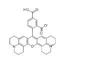 5(6)-ROX 5(6)-羧基-X-罗丹明 CAS号:198978-94-8 5(6)-ROX 5(6)-羧基-X-罗丹明 CAS号:198978-94-8