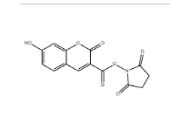 CAS号：134471-24-2；7-羟基香豆素-3-羧酸琥珀酰亚胺酯