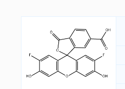 CAS号：195136-53-9；6-OG488 酸（相当于Oregon Green 488 羧酸,6-异构体