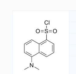 CAS号：605-65-2；Dansyl chloride；丹磺酰氯