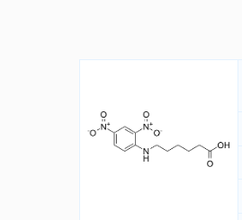 CAS号:10466-72-5;DNP-X酸;6-(2,4-二硝基苯)-6-氨基己酸 CAS号:10466-72-5;DNP-X酸;6-(2,4-二硝基苯)-6-氨基己酸