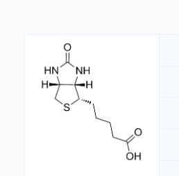 CAS号：58-85-5；D-Biotin；D-生物素，是多种羧化酶的辅酶,在羧化酶反应中起CO2载体的作用