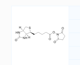 CAS号：35013-72-0；生物素琥珀酰亚胺酯；用于制备生物素化表面或多肽的氨基反应性生物素试剂
