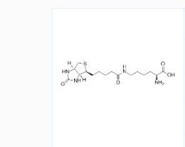 生物胞素；CAS号：576-19-2；Biocytin