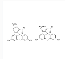 5(6)-FAM;5(6)-羧基荧光素;CAS号:72088-94-9 5(6)-FAM;5(6)-羧基荧光素;CAS号:72088-94-9