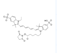 Cy7,NHS酯 钾盐 CAS号：477908-53-5