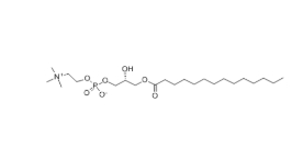 M-LysoPC，20559-16-4，肉豆蔻酰溶血卵磷脂