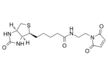 Biotin-Mal 