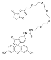Fluorescein-PEG5-NHS ester  