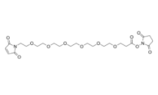    Mal-PEG6-NHS ester 