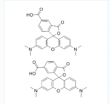 CAS号：98181-63-6；5(6)-TAMRA；5(6)-羧基四甲基罗丹明