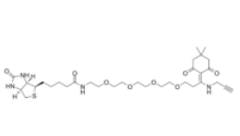 Dde Biotin-PEG4-alkyne  