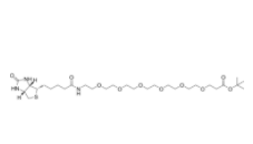 Biotin-PEG6-Boc	 