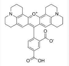 CAS号：216699-35-3；5-ROX；5-羧基-X-罗丹明