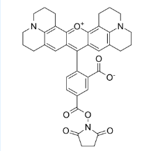 CAS号：209734-74-7；5-ROX, SE；5-羧基-X-罗丹明琥珀酰亚胺酯