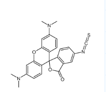 CAS号：95197-95-8；5(6)-TRITC；四甲基罗丹明-5(6)-异硫氰酸