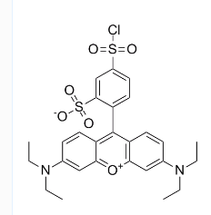 CAS号：62796-29-6；丽丝胺碱性蕊香红B磺酰氯