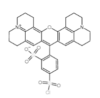 CAS号：82354-19-6；磺基罗丹明101磺酰氯