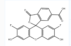 CAS号：195136-53-9；6-OG488 酸（相当于Oregon Green 488 羧酸,6-异构体）