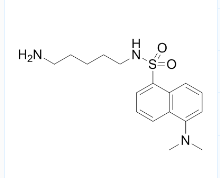 CAS号：10121-91-2；DANSYLCADAVERINE；N-(5-氨基戊基)-5-(二甲基氨基)萘-1-磺酰胺