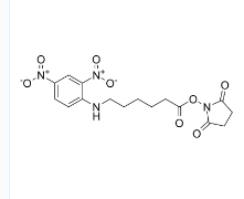 CAS号：82321-04-8；DNP-X 酸, SE；6-(2,4-二硝基苯胺基)己酸-N-琥珀酰亚氨基酯