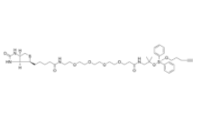  DADPS Biotin Alykne     