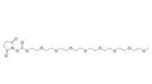 m-PEG8-succinimidyl carbonate 