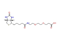 Biotin-PEG2-COOH，1365655-89-5