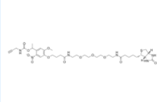 PC Biotin-PEG3-alkyne 