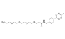 Me-Tet-PEG4-NH2 
