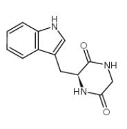 环(甘氨酰-L-色氨酰)	 