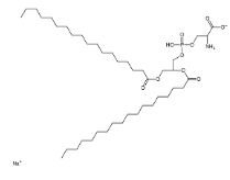 二硬酯酰磷脂酰丝氨酸钠（DSPS），321595-13-5 