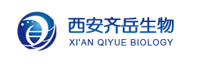 聚苯乙烯微球，粒径100nm