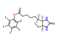 	(+)-生物素-PFP-酯	 