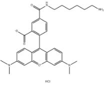 TAMRA amine, 5-isomer 