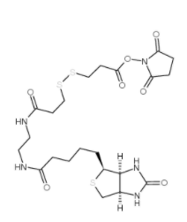 	NHS-SS-(+)-Biotin 