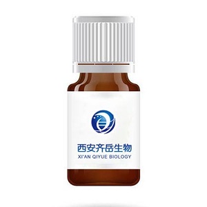 SIL PEG DBCO,DBCO-PEG-Silane,二苯并环辛炔-聚乙二醇-硅烷