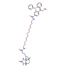 	Phosphine-biotin 