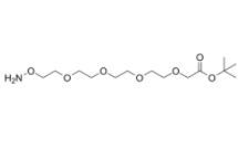Aminooxy-PEG4-CH2CO2tBu 