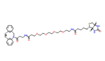	DBCO-PEG4-Biotin 