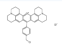 CAS号:167095-09-2,MitoLite CMXRos 线粒体红色染料 CAS号:167095-09-2,MitoLite CMXRos 线粒体红色染料