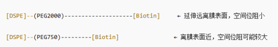 DSPE-PEG2000-BIOTIN和 DSPE-PEG750-BIOTIN 有什么不同?