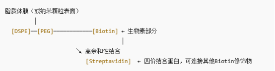 分子结构图解