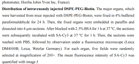 DSPE-PEG-Biotin结合亲和素分子制备脂质体用于超声研究