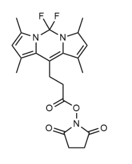 BODIPY 493/503 NHS ester 