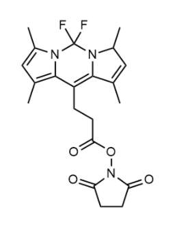 BODIPY 493/503 NHS 活化酯 