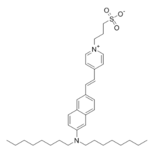 Di-8-ANEPPS 