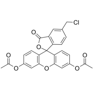 5-氯甲基荧光素二乙酸酯	 